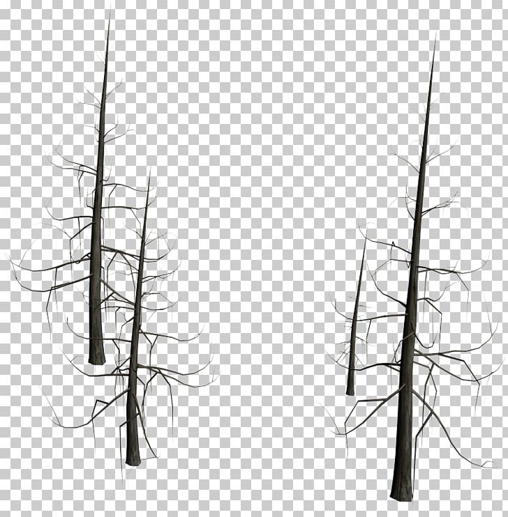 Pine White Sketch PNG, Clipart, Art, Artwork, Black And White, Branch, Drawing Free PNG Download