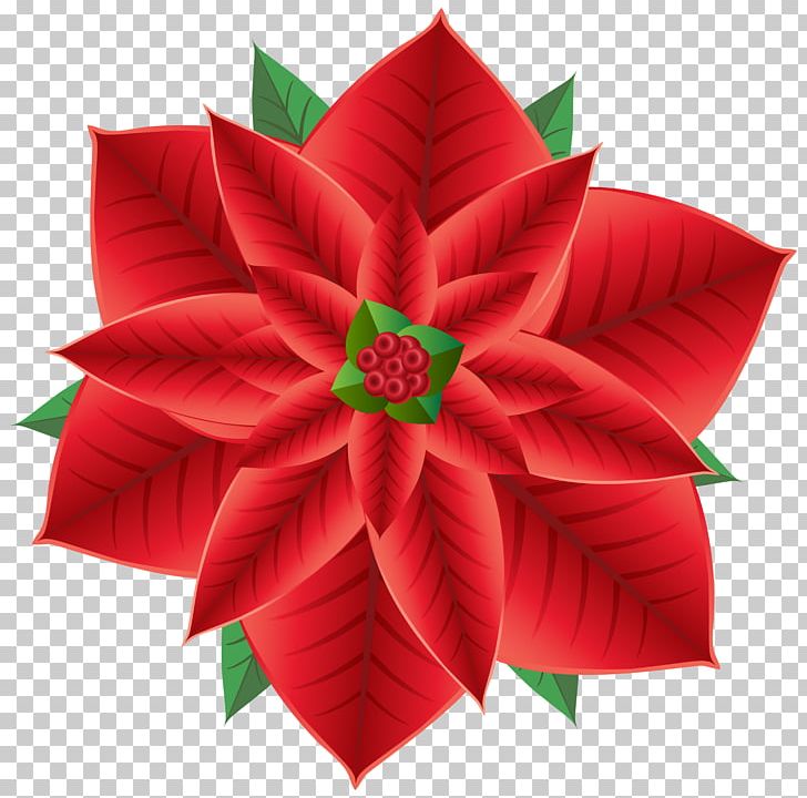 Poinsettia Christmas Flower PNG, Clipart, Art, Art Christmas, Christmas, Christmas Clipart, Christmas Decoration Free PNG Download