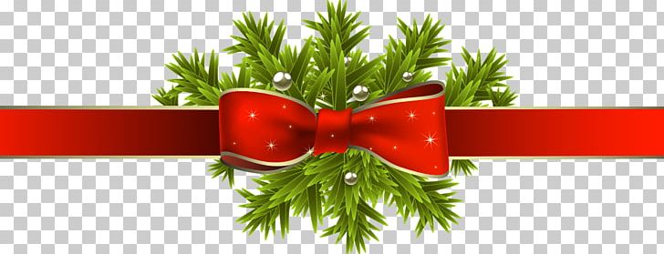 Christmas Tree Ribbon Christmas Decoration PNG, Clipart, Awareness Ribbon, Branch, Christmas, Christmas And Holiday Season, Christmas Decoration Free PNG Download