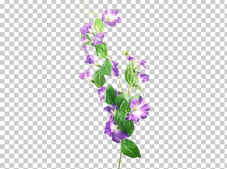 Flower Lavender Violet Lilac Floral Design PNG, Clipart, Cut Flowers, Family, Flora, Floral Design, Flower Free PNG Download
