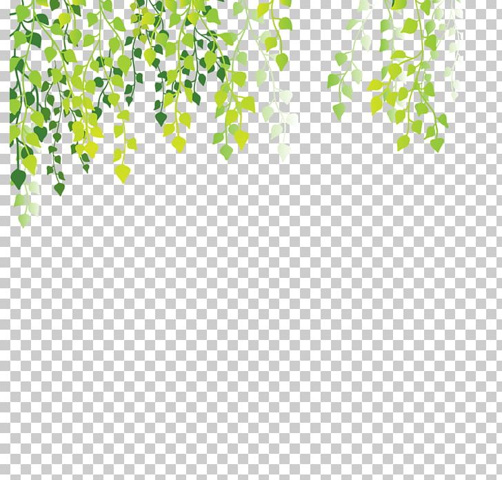 Leaf PNG, Clipart, Angle, Area, Background, Background Green, Bud Free PNG Download