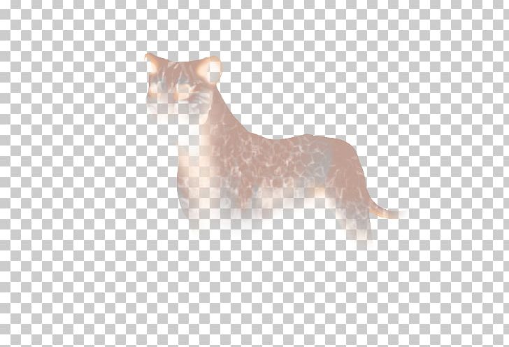 Whiskers Felidae Domestic Short-haired Cat Lion PNG, Clipart, Animals, Balinese, Carnivoran, Cat, Cat Like Mammal Free PNG Download