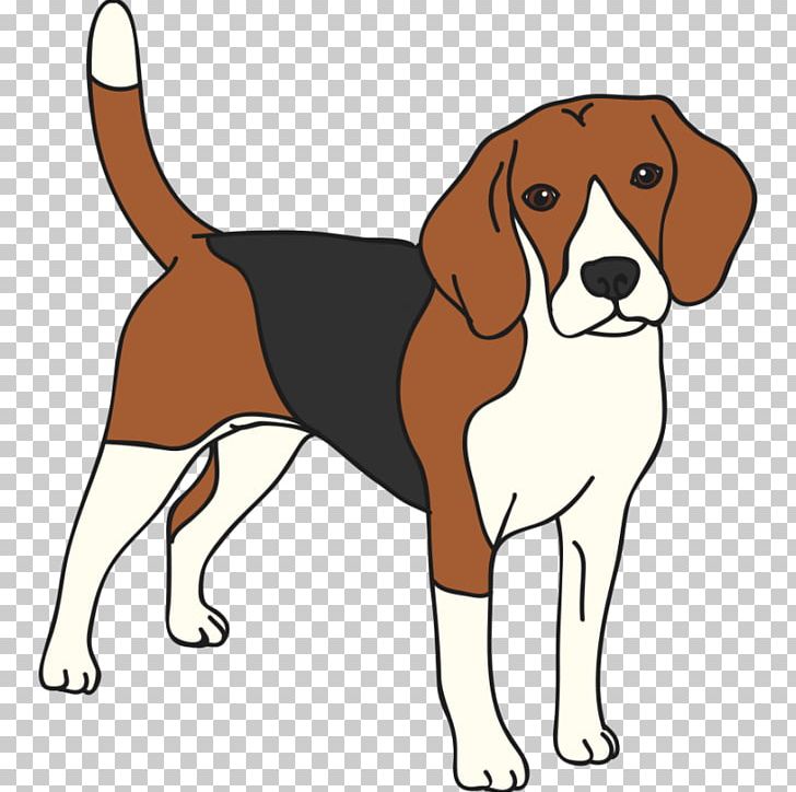 Beagle English Foxhound American Foxhound Cat Leash PNG, Clipart, American Foxhound, Animals, Carnivoran, Companion Dog, Dog Breed Free PNG Download