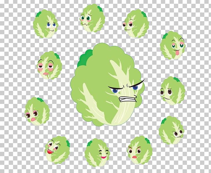 Chinese Cabbage Cartoon Vegetable PNG, Clipart, Boy, Cabbage, Cartoon, Cartoon Character, Cartoon Eyes Free PNG Download