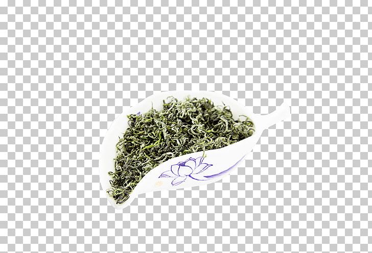 Nilgiri Tea Gyokuro PNG, Clipart, Bancha, Biluochun, Download, Dry, Drying Free PNG Download