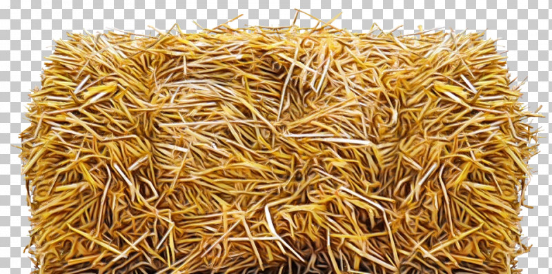 Wheat PNG, Clipart, Agriculture, Baler, Baling Twine, Cereal, Common Wheat Free PNG Download