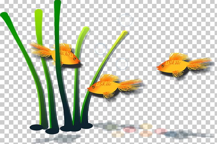 Common Goldfish Koi Aquarium Goldfish Scooping Stock.xchng PNG, Clipart, Aquamarine, Aquarium, Aquatic, Aquatic Plants, Common Goldfish Free PNG Download