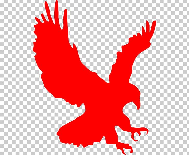 Eagle AutoCAD DXF Drawing PNG, Clipart, Animals, Area, Artwork, Autocad Dxf, Beak Free PNG Download