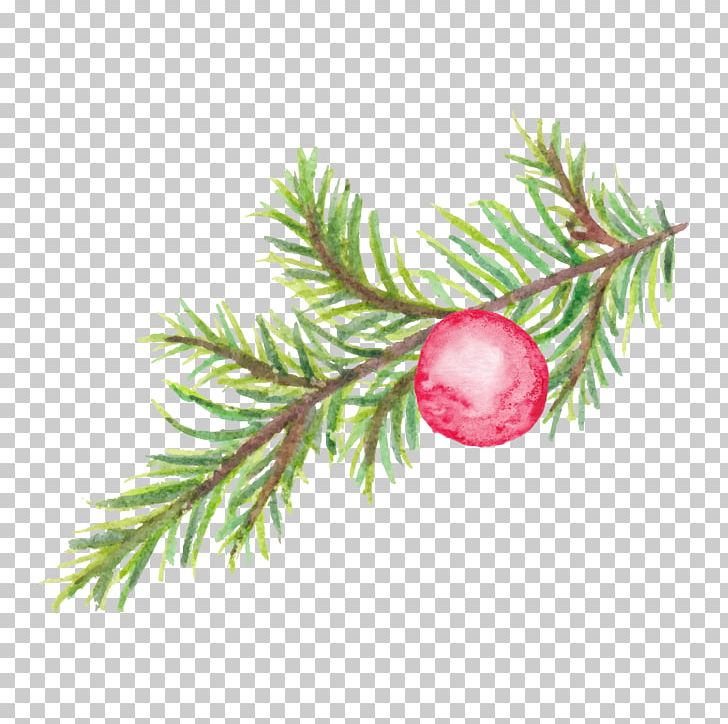 Flower Designer PNG, Clipart, Berry, Branch, Christmas Decoration, Christmas Ornament, Creative Flower Free PNG Download