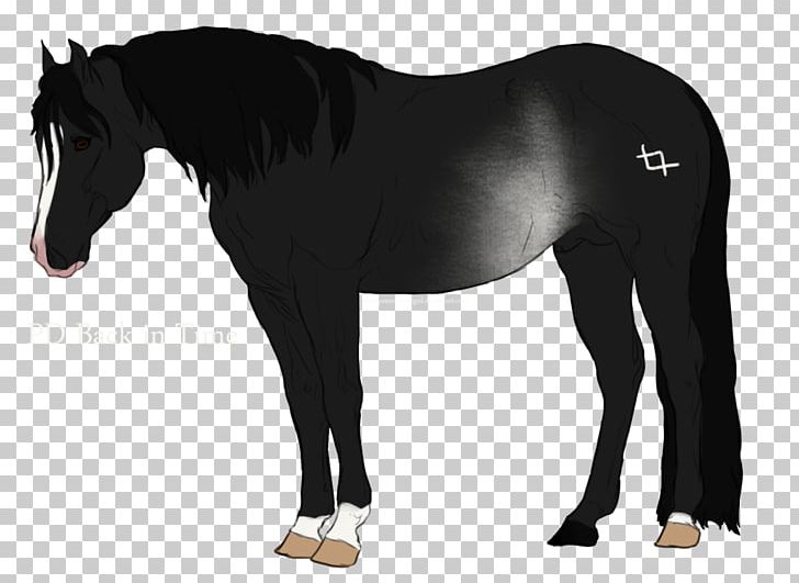 Mane Mustang Mare Stallion Halter PNG, Clipart,  Free PNG Download
