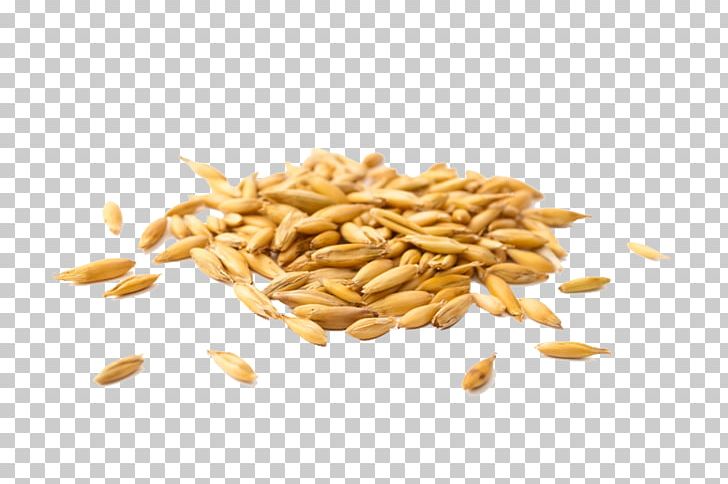 Oat Pasta Cereal Emmer Food PNG, Clipart, Ancient Grains, Avena, Bran, Cereal, Cereal Germ Free PNG Download