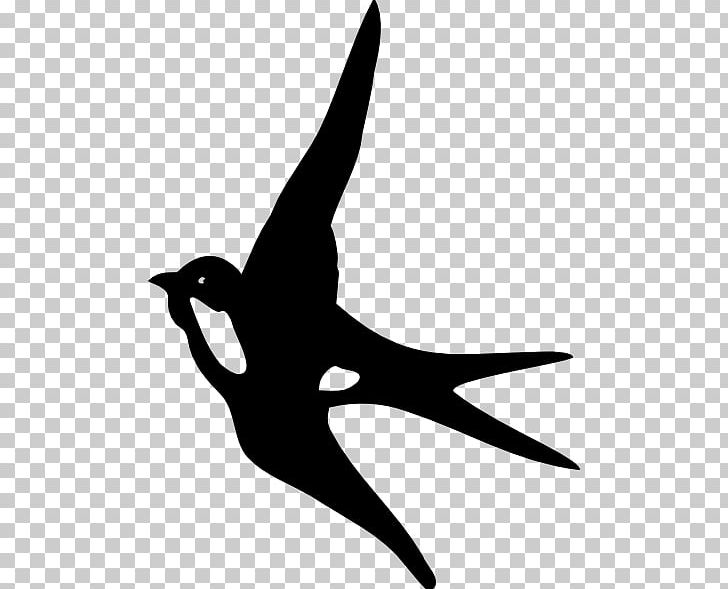 Swallow PNG, Clipart, Art, Barn Swallow, Beak, Bird, Black And White Free PNG Download