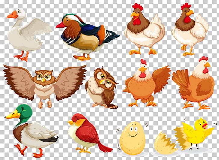 Bird Duck PNG, Clipart, Animals, Art, Balloon Cartoon, Beak, Bird Cage Free PNG Download