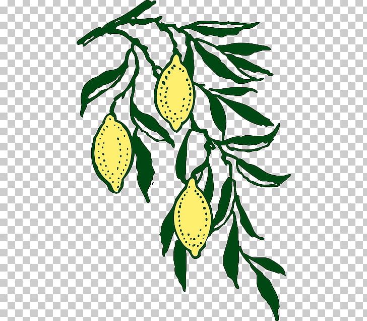 Lemon PNG, Clipart, Artwork, Blog, Branch, Citrus, Download Free PNG Download