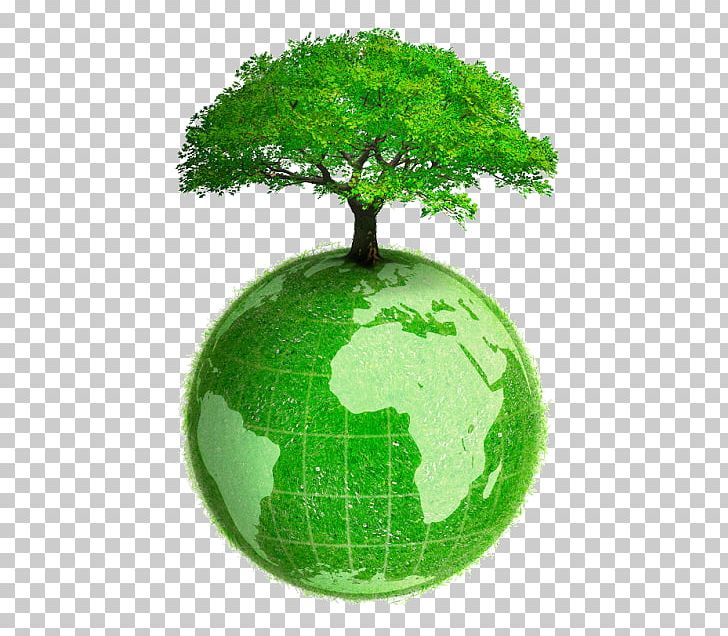 /m/02j71 Earth Tree Green PNG, Clipart, Earth, Globe, Grass, Green, Green Earth Free PNG Download