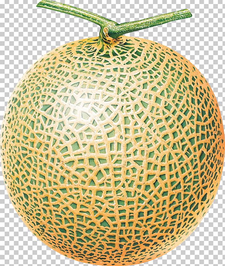 Melon PNG, Clipart, Melon Free PNG Download