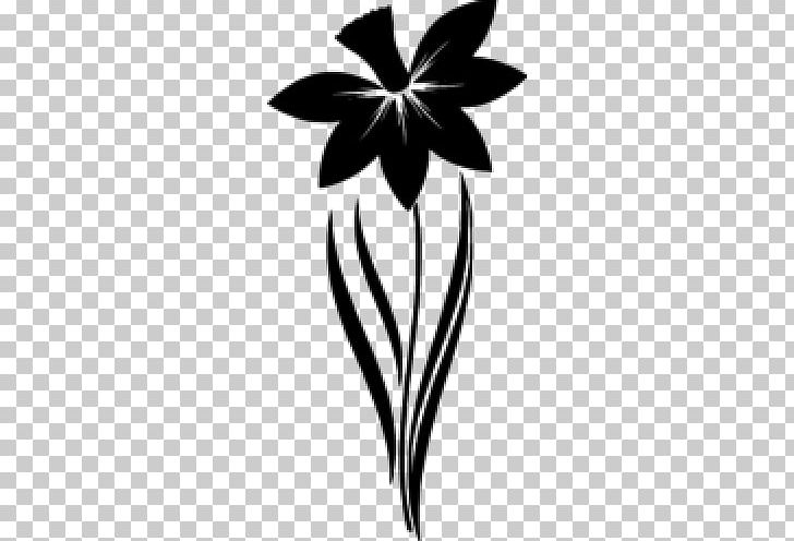 Silhouette Daffodil Photography Narcissus PNG, Clipart, Animals, Black And White, Branch, Daffodil, Digital Image Free PNG Download
