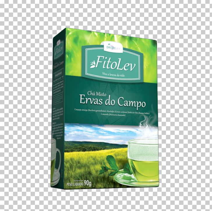Green Tea Liquid German Chamomile PNG, Clipart, Campo, Description, Food Drinks, German Chamomile, Grass Free PNG Download