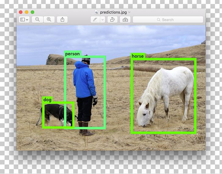 Object Detection Deep Learning Pedestrian Detection TensorFlow Convolutional Neural Network PNG, Clipart, Artificial Neural Network, Cattle Like Mammal, Computer Vision, Cow Goat Family, Fauna Free PNG Download