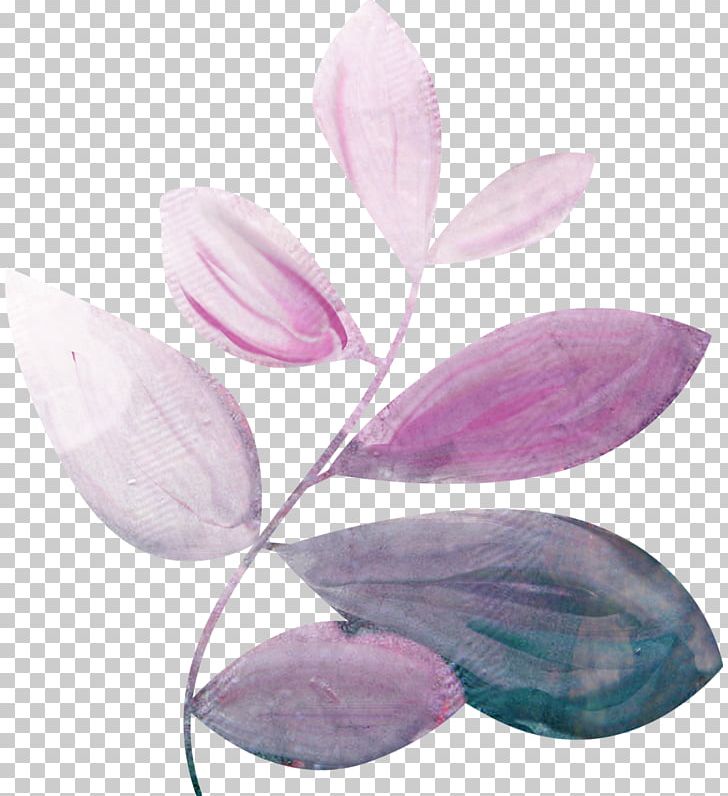 Petal Lilac PNG, Clipart, Flower, Lilac, Nature, Petal, Plant Free PNG Download
