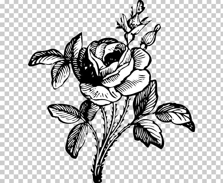 Rose Flower Drawing PNG, Clipart, Artwork, Black, Black And White, Black Rose, Branch Free PNG Download