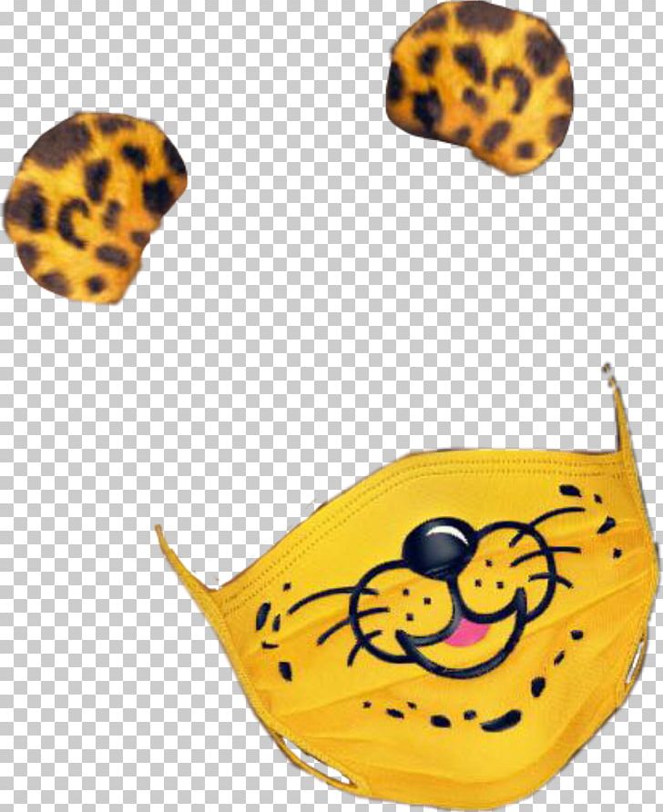 Snapchat Musical.ly Cheetah Photograph PNG, Clipart, Cheetah, Ladybird, Musically, Others, Photographic Filter Free PNG Download