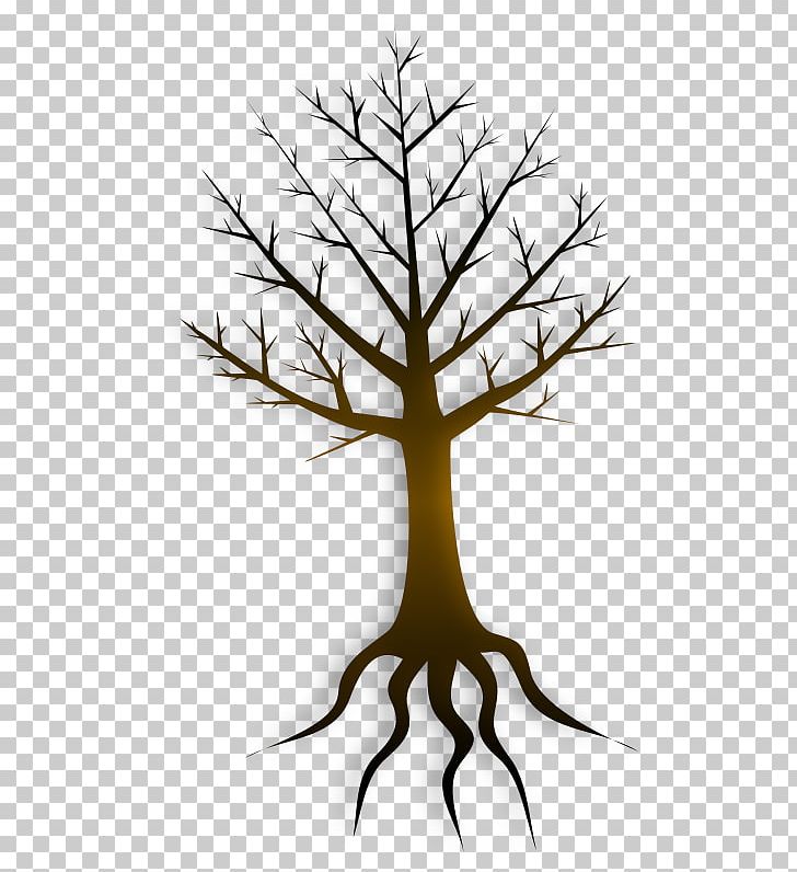 fruit tree with roots clip art