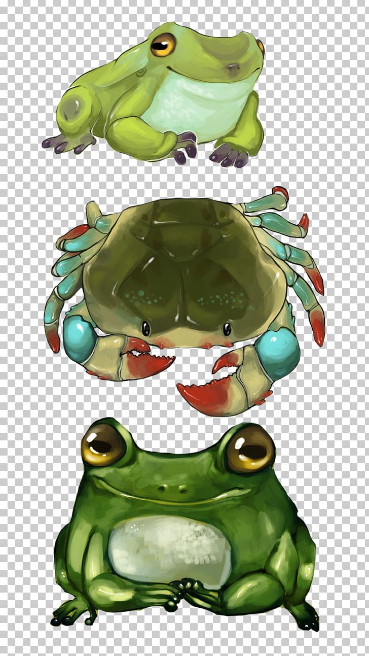 True Frog Tree Frog Toad Character PNG, Clipart, Amphibian, Animated Cartoon, Character, Fiction, Fictional Character Free PNG Download