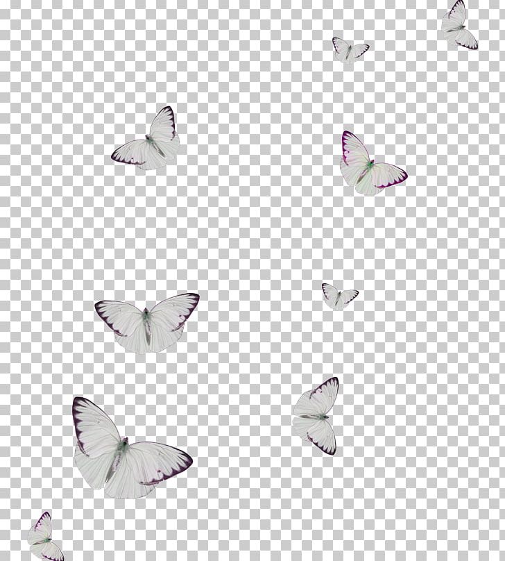 Butterfly PNG, Clipart, Butterfly, Clip Art, Concepteur, Download, Encapsulated Postscript Free PNG Download