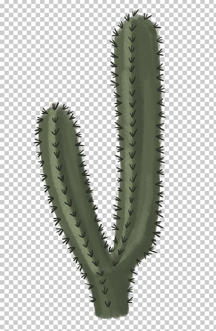 Cactaceae PNG, Clipart, Cactaceae, Cactus, Caryophyllales, Computer Icons, Download Free PNG Download