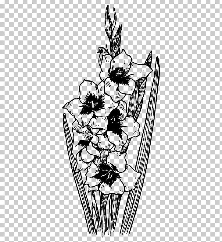 Coloring Book Abyssinian Gladiolus Gladiolus Communis Drawing Stock Photography PNG, Clipart, Arm, Art, Artwork, Birth Flower, Black And White Free PNG Download