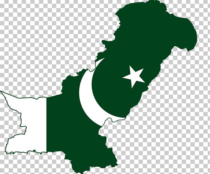 Flag Of Pakistan Map Flag Of Pakistan PNG, Clipart, Area, Digital Mapping, Flag, Flag Of Pakistan, Grass Free PNG Download