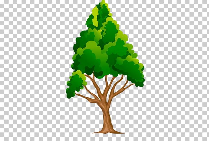 Tree Drawing PNG, Clipart, Computer Icons, Drawing, Graphic Design, Green, Illustrated Free PNG Download