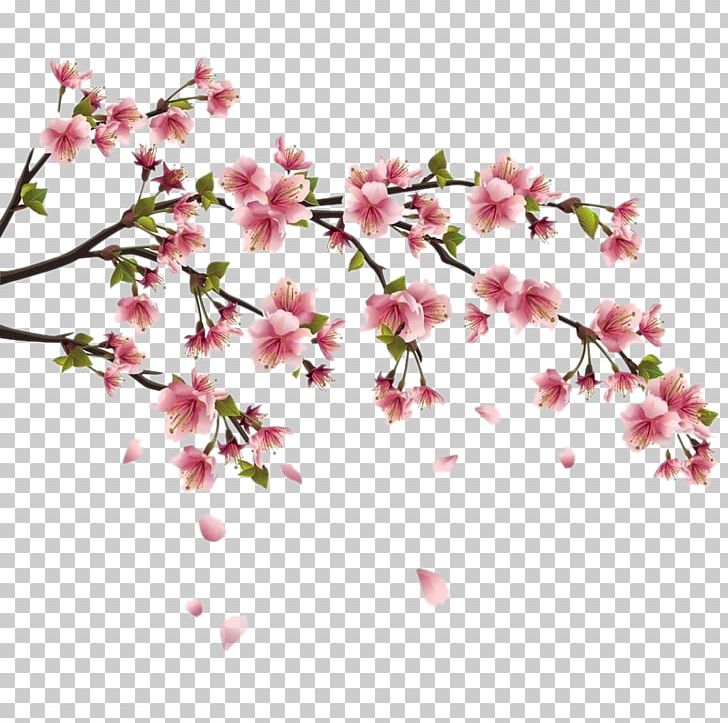 Wall Decal Sticker Cherry Blossom PNG, Clipart, Bedroom, Blossom, Branch, Cut Flowers, Dec Free PNG Download