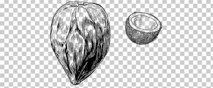 Coconut Drawing PNG, Clipart, Black And White, Coco, Coconut, Coconut Oil, Dibujos Free PNG Download