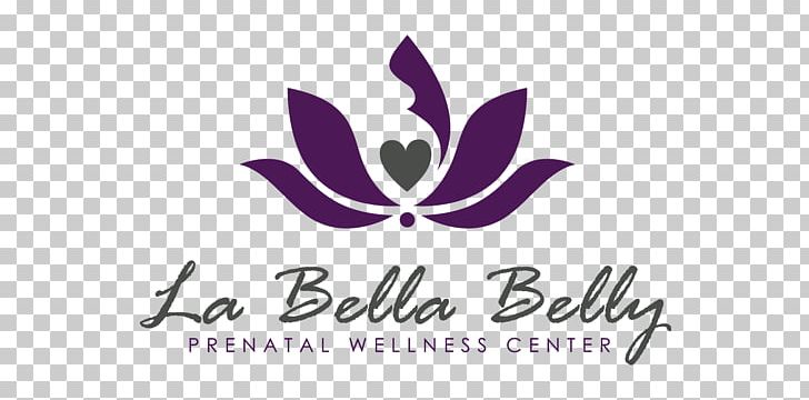 La Bella Belly Spa Stone Massage Day Spa PNG, Clipart, 3d Ultrasound, Brand, Computer Wallpaper, Day Spa, Facial Free PNG Download