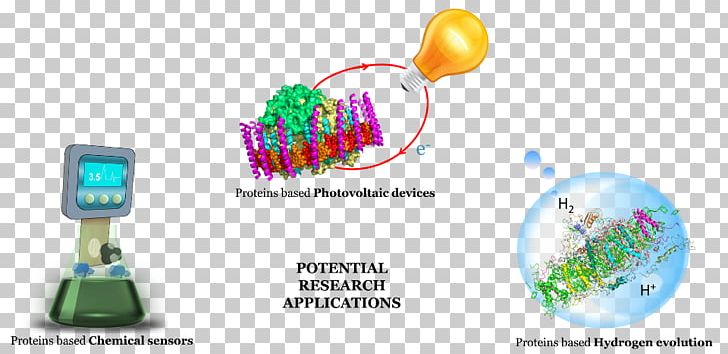 Photosynthesis Solar Energy Conversion Research PNG, Clipart, Advertising, Algae, Bacteria, Brand, Communication Free PNG Download