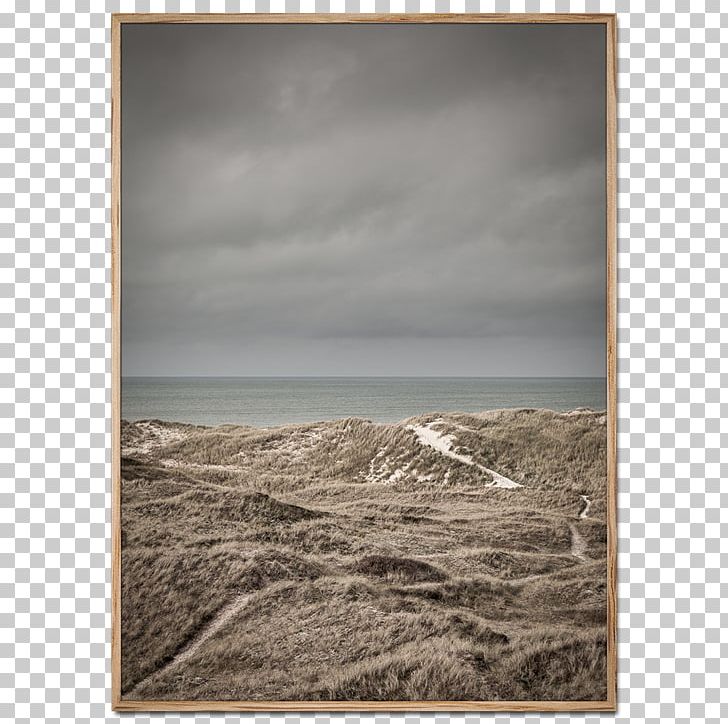 Skagen Klitplantage Poster Fine-art Photography PNG, Clipart, Black And White, Denmark, Dune, Fineart Photography, Horizon Free PNG Download