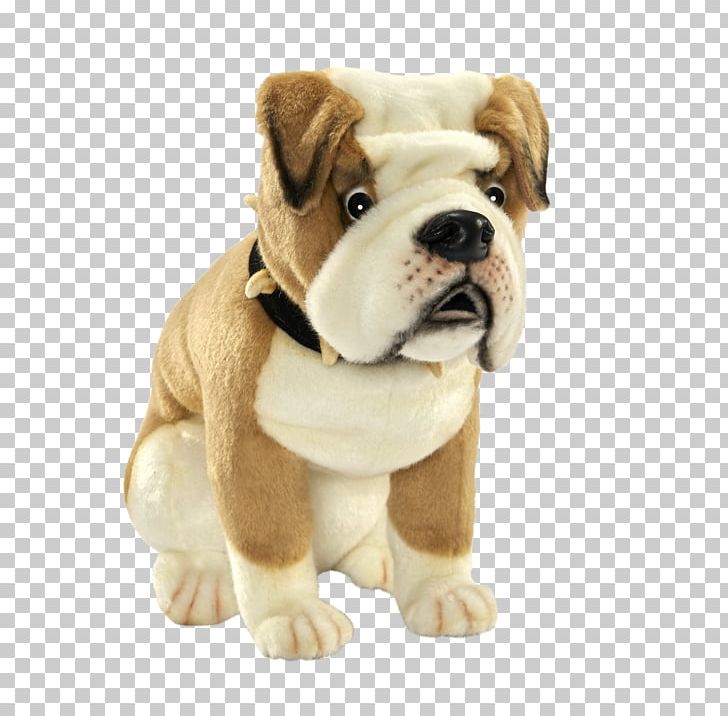 Dorset Olde Tyme Bulldogge Toy Bulldog Olde English Bulldogge Puppy PNG, Clipart, Animals, British Bulldogs, Bulldog, Bulldog Breeds, Carnivoran Free PNG Download
