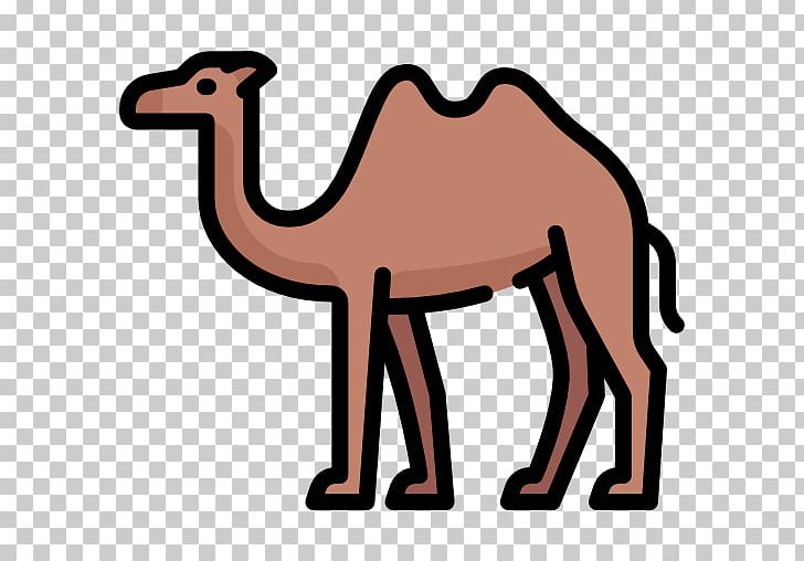 Dromedary Horse Pack Animal Fauna PNG, Clipart, Animal, Animal Figure, Animals, Arabian Camel, Buscar Free PNG Download