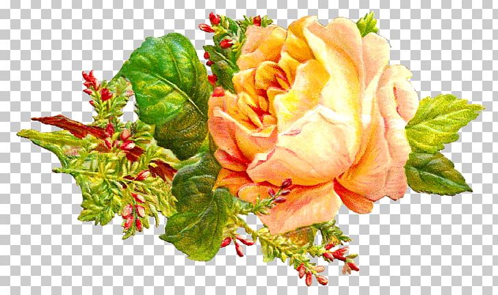 Garden Roses Centifolia Roses Cut Flowers Floral Design PNG, Clipart, Centifolia Roses, Craft, Cut Flowers, Floral Design, Floristry Free PNG Download