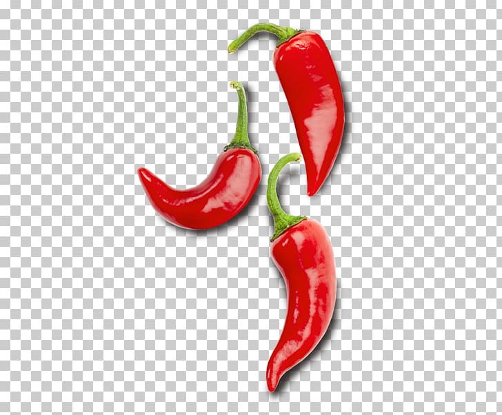Habanero Piquillo Pepper Jalapeño Serrano Pepper Bird's Eye Chili PNG, Clipart,  Free PNG Download
