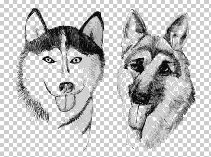 Siberian Husky German Shepherd Canadian Eskimo Dog Tamaskan Dog Alaskan Malamute PNG, Clipart, Alaskan Malamute, Animal, Animals, Carnivoran, Dog Breed Free PNG Download