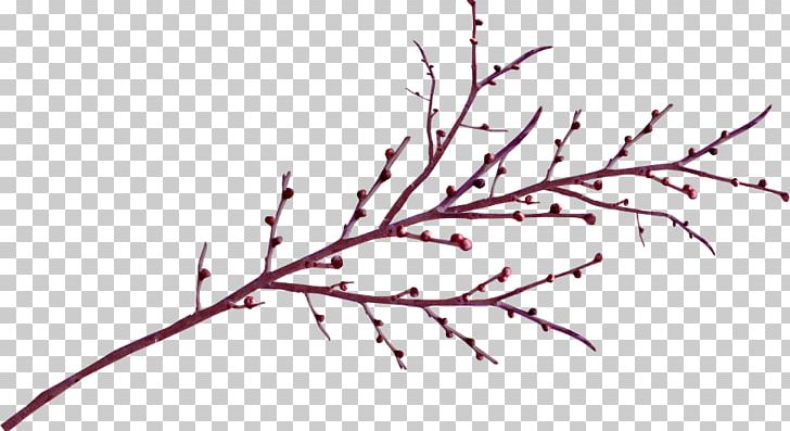 Twig Branch PNG, Clipart, Branch, Chart, Computer Icons, Download, Flora Free PNG Download