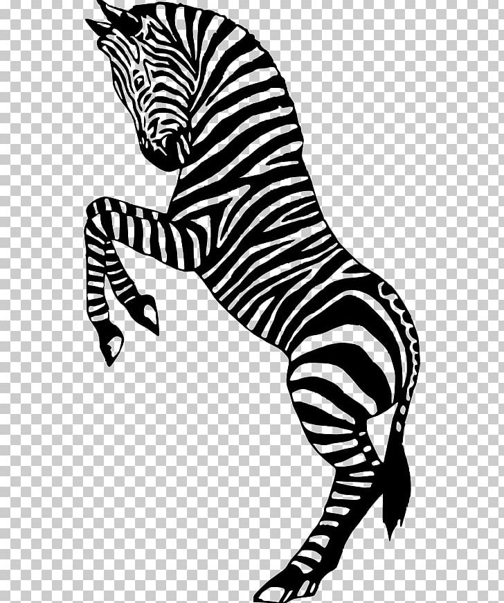 Zebra Silhouette Circus PNG, Clipart, Art, Big Cats, Black, Black And White, Carnivoran Free PNG Download