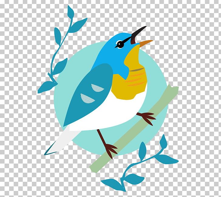 Beak Illustration Fauna Feather PNG, Clipart, Art, Artwork, Beak, Bird, Branch Free PNG Download