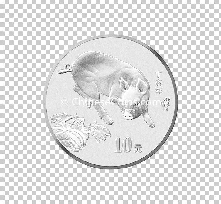 Coin Silver Circle Animal PNG, Clipart, Animal, Circle, Coin, Currency, Money Free PNG Download