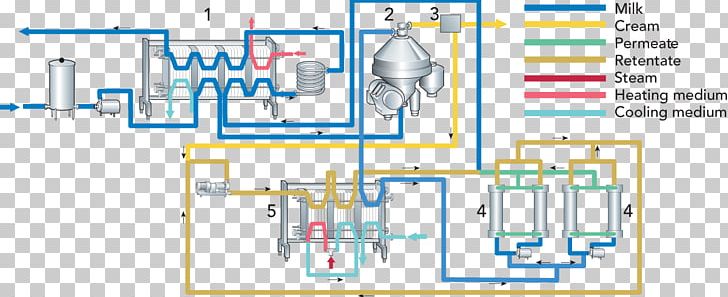 Cream Milk Cheesemaking Whey PNG, Clipart, Angle, Area, Cheese, Cottage Cheese, Cream Free PNG Download