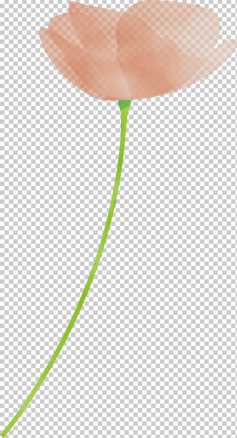 Tulip Flower Plant Balloon Plant Stem PNG, Clipart, Anthurium, Balloon, Flower, Lily Family, Paint Free PNG Download