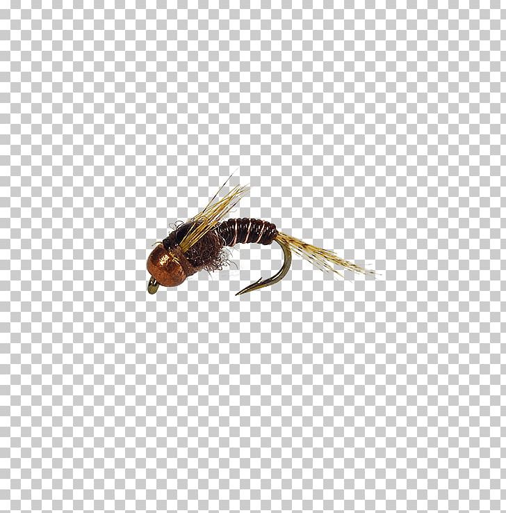 Artificial Fly Dry Fly Fishing Insect PNG, Clipart, Ak 47, Animals, Arthropod, Artificial Fly, Dry Fly Fishing Free PNG Download